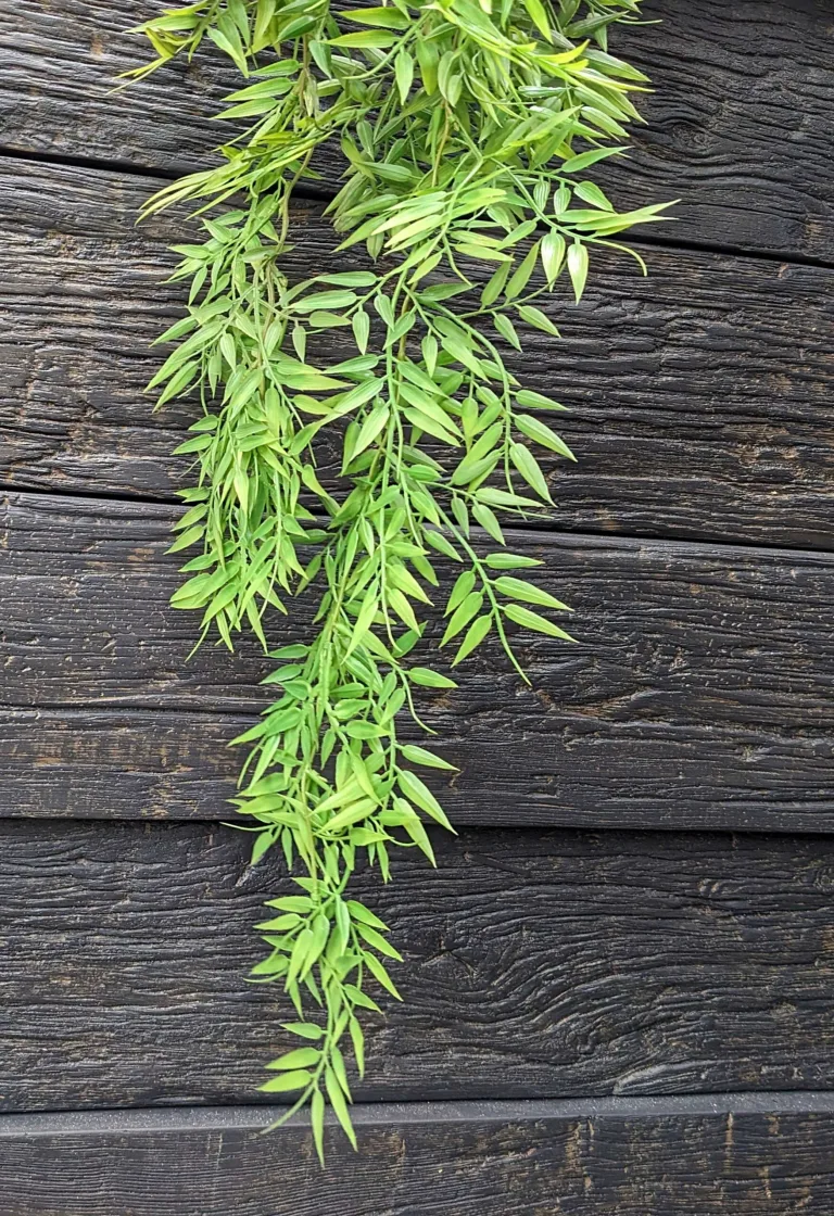 Bamboo Shrub Leaf Hanging Foliage
