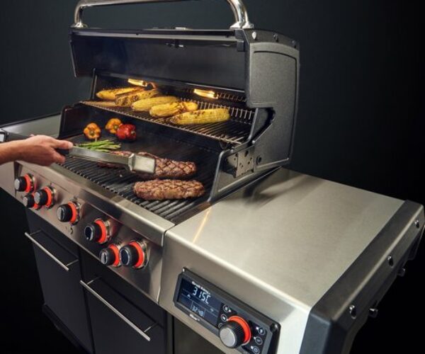 Broil King iQue with Steak - Regal Q590 IR