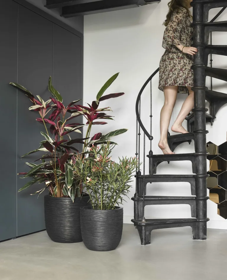 Capi Europe Black Round Garden Pots - Outdoor and indoor Garden pots in a lifestyle setting