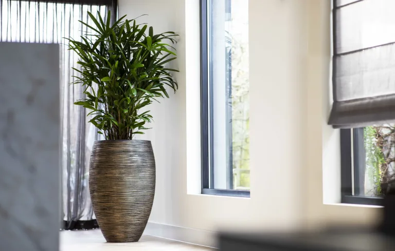 Capi Nature Elegant Deluxe Rib and Gold Outdoor Pot for a natural design and home