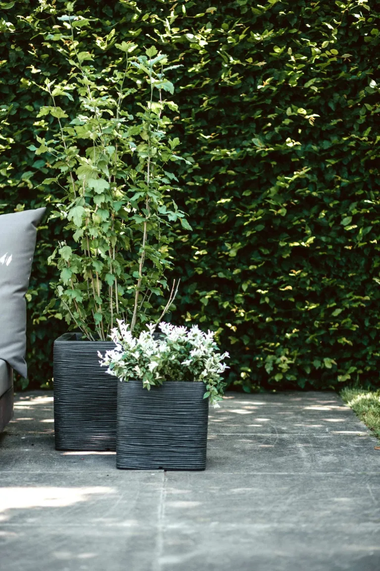 A pair of two outdoor black pots next to each other in a garden setting