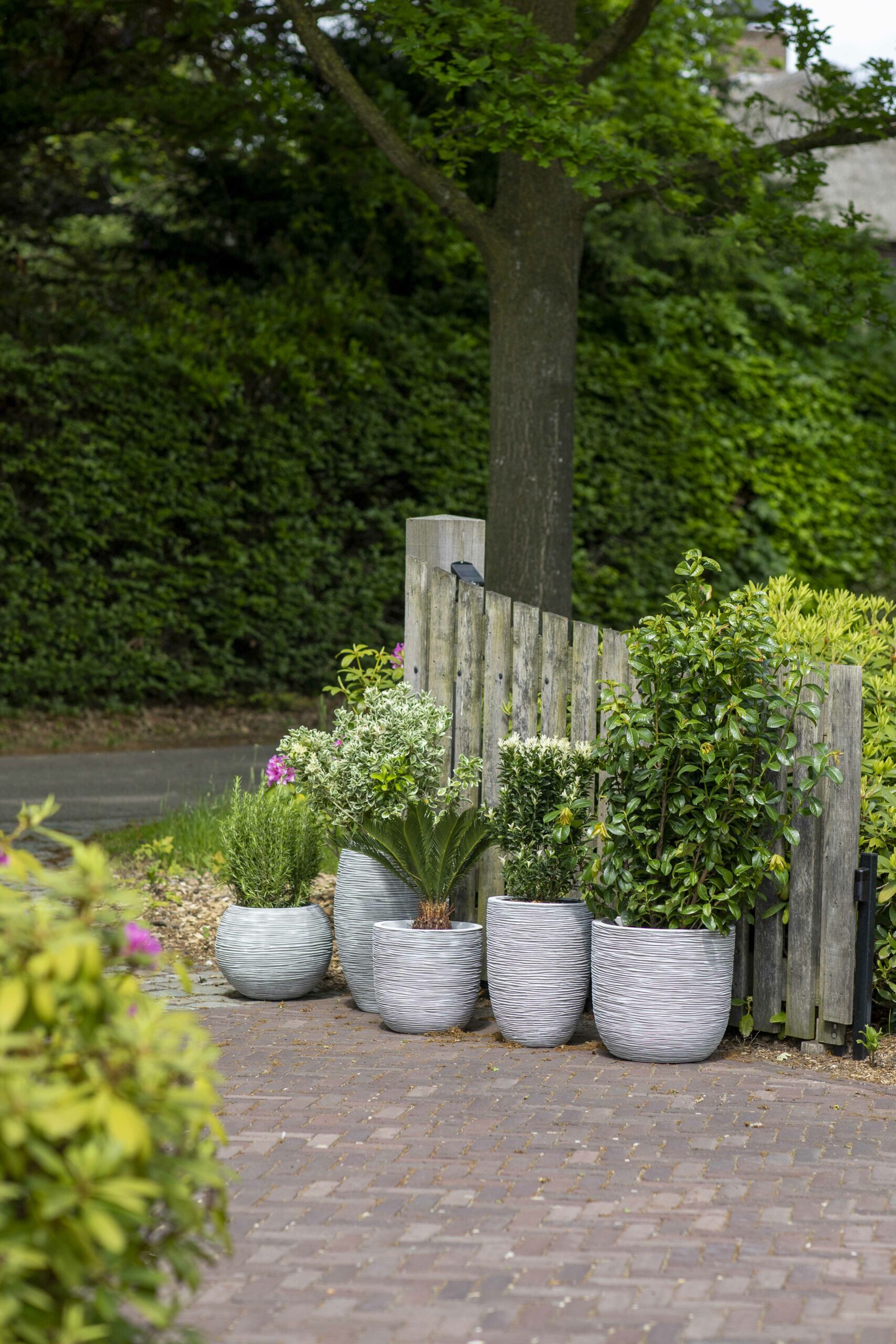 Capi Ball Rib Planter – Ivory