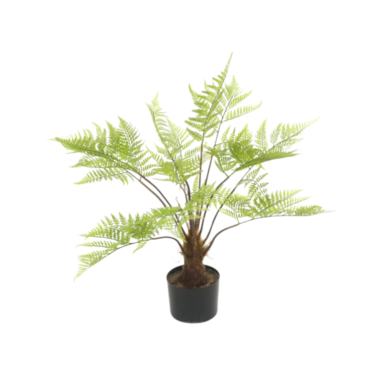 Tree Fern In Pot 80cm - Artificial Indoor Plants in Ireland