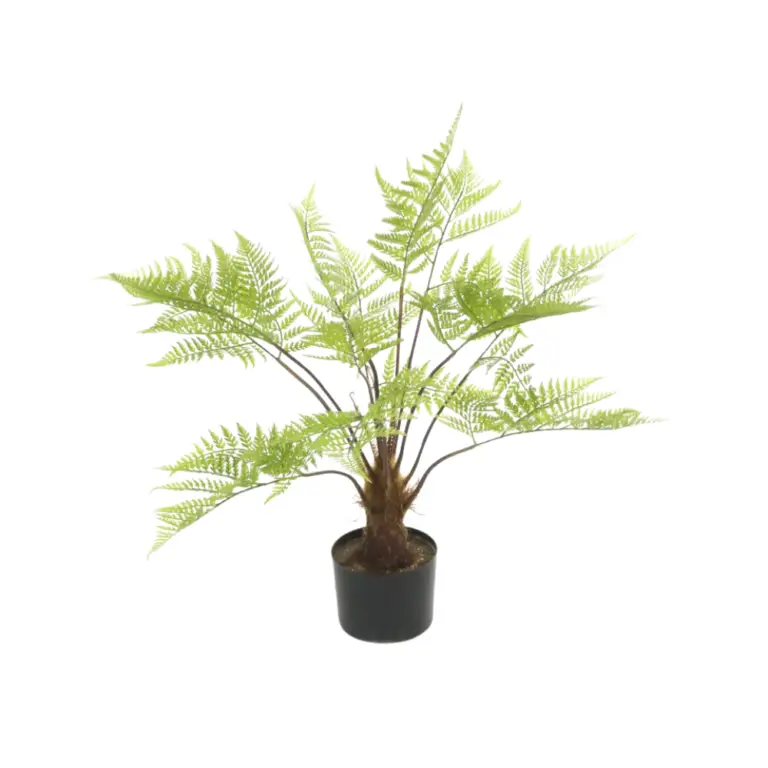 Tree Fern In Pot 80cm - Artificial Indoor Plants in Ireland