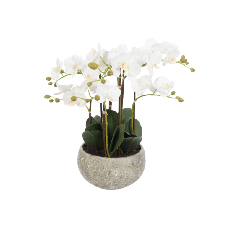 Phalaenopsis in Clay Pot 47cm - Artificial Plants for Sale Dublin Ireland