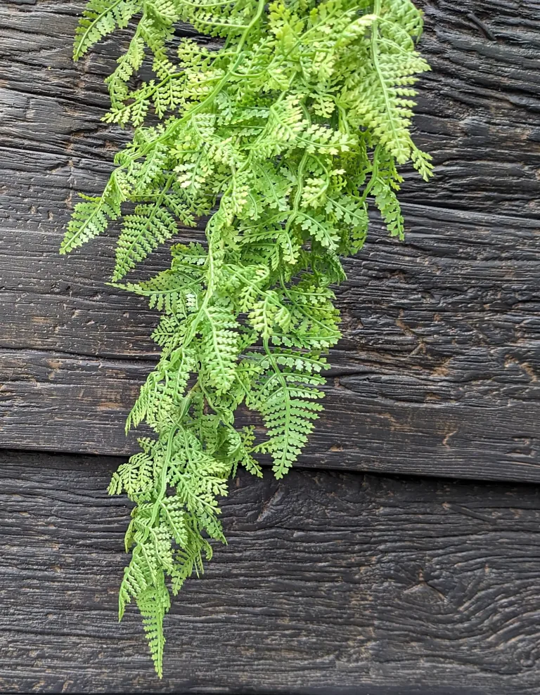 Fern Leaf Hanging Foliage - Artificial Indoor Plants in Ireland