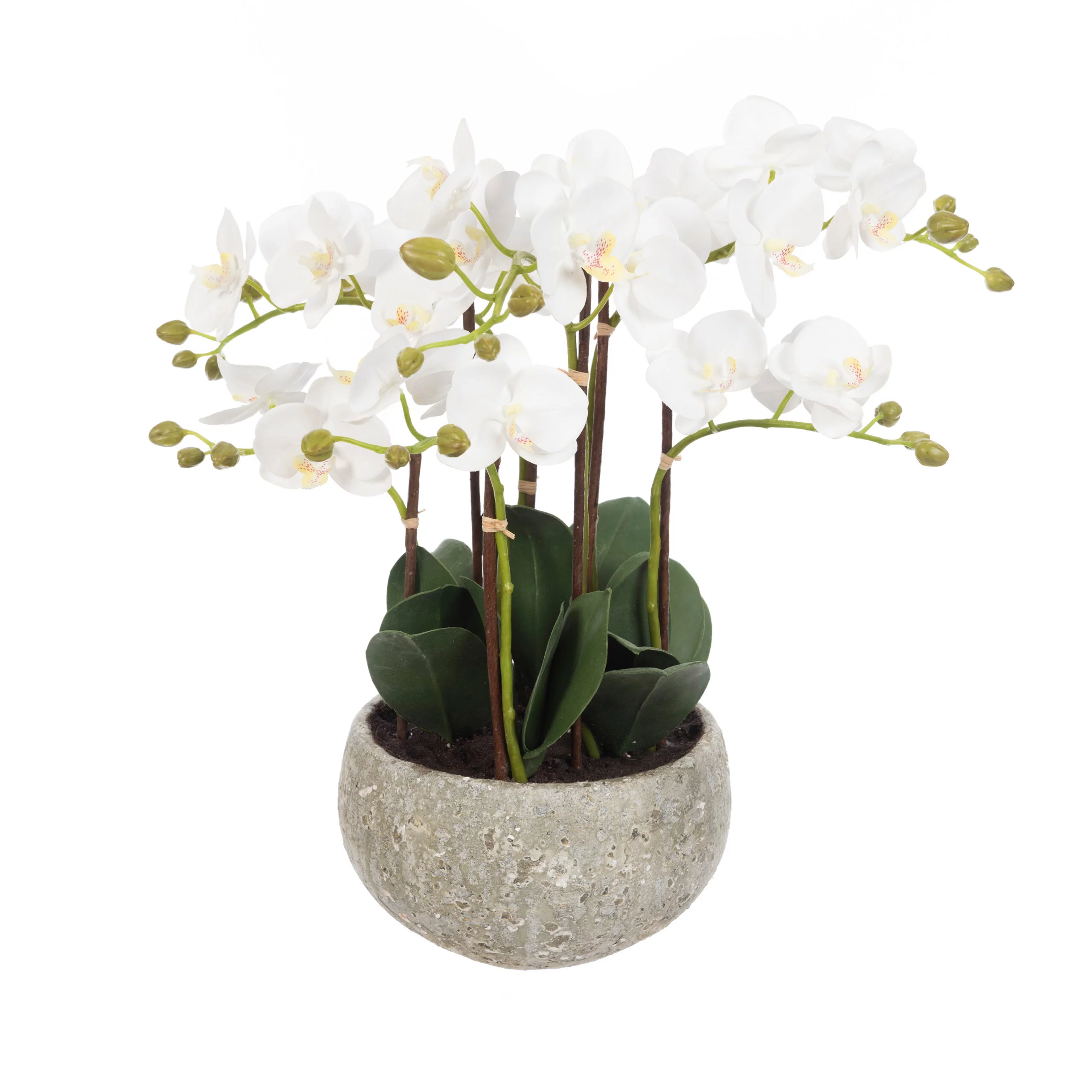 Phalaenopsis in Clay Pot 47cm - Artificial Plants for Sale Dublin Ireland