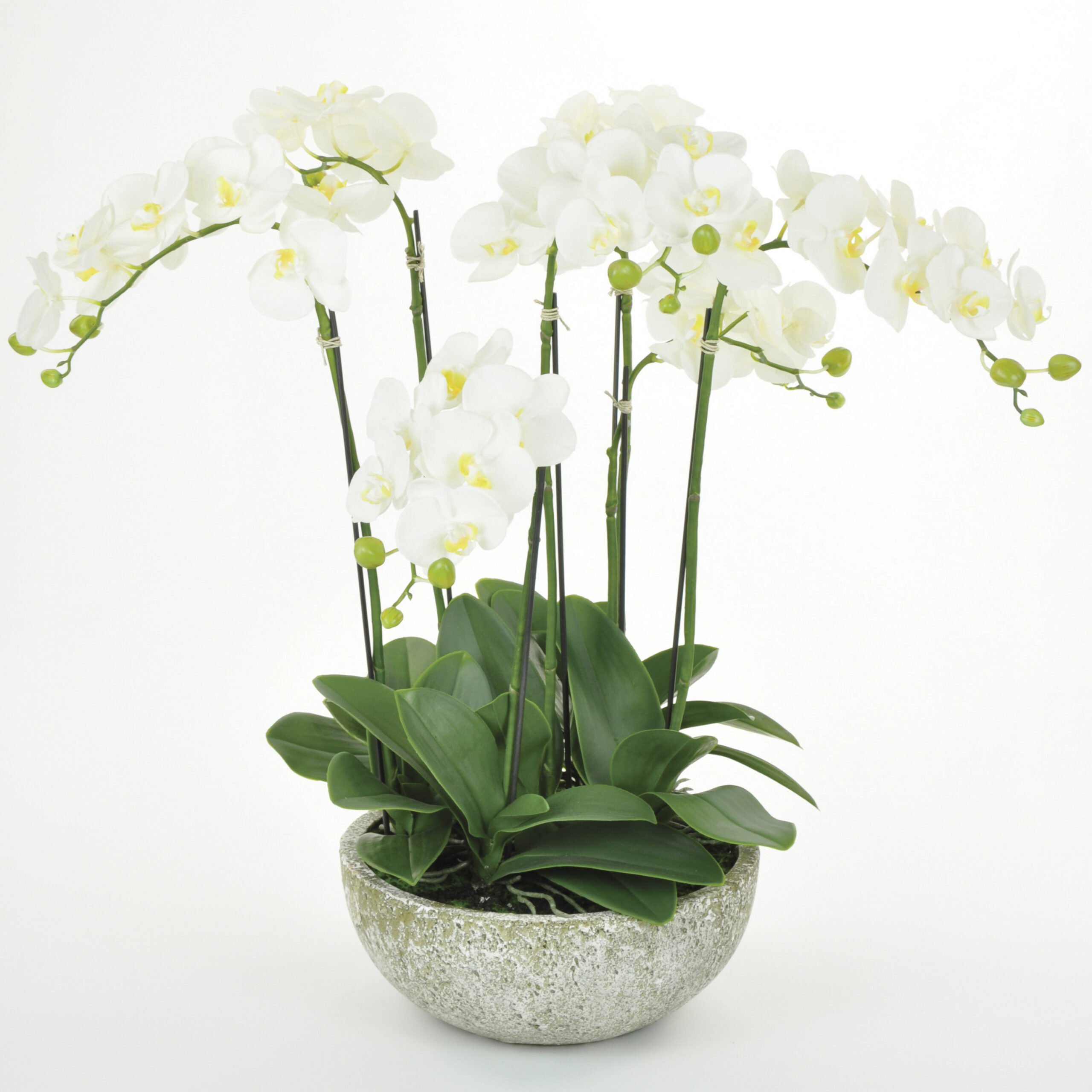 5ft Kenya Palm Tree Artificial Indoor Plants Outdoor.ie