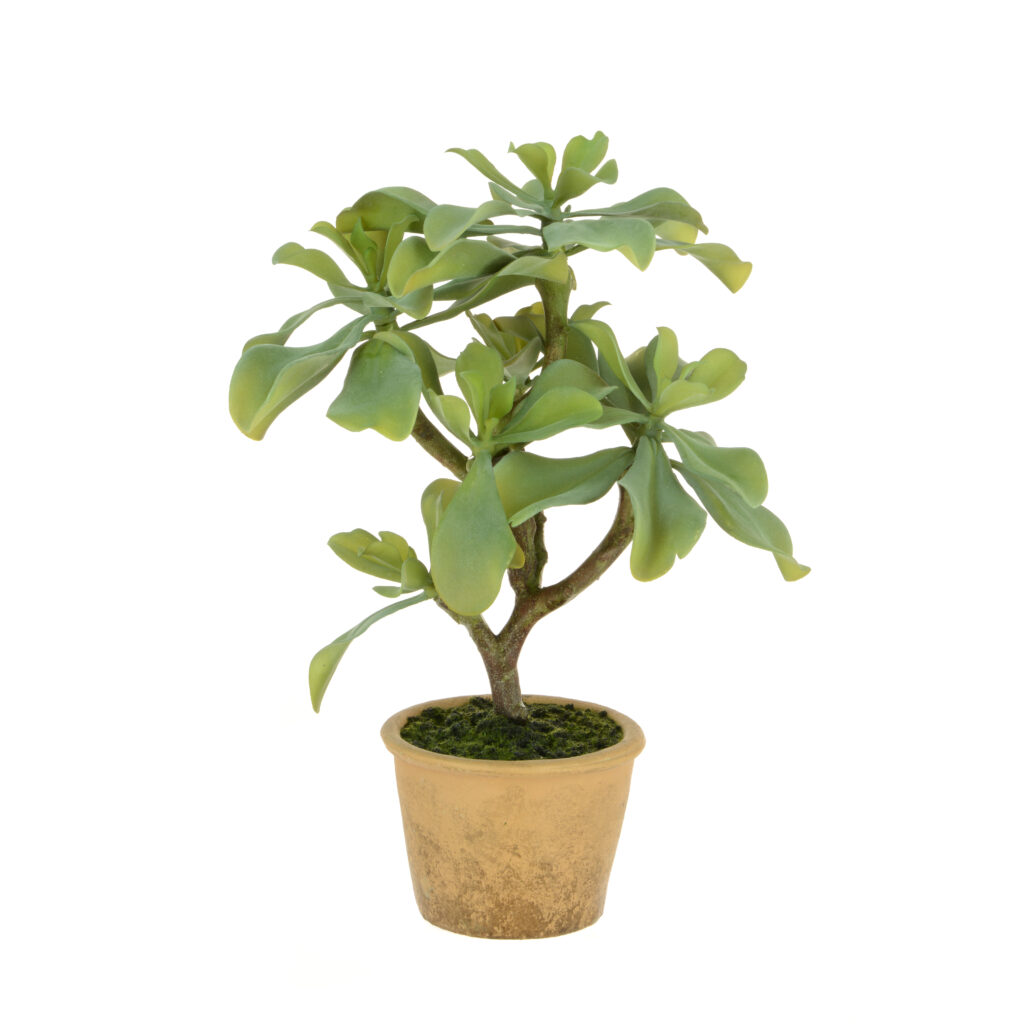 Succulent Tree in Pot 42cm - Artificial Indoor Plants in Ireland