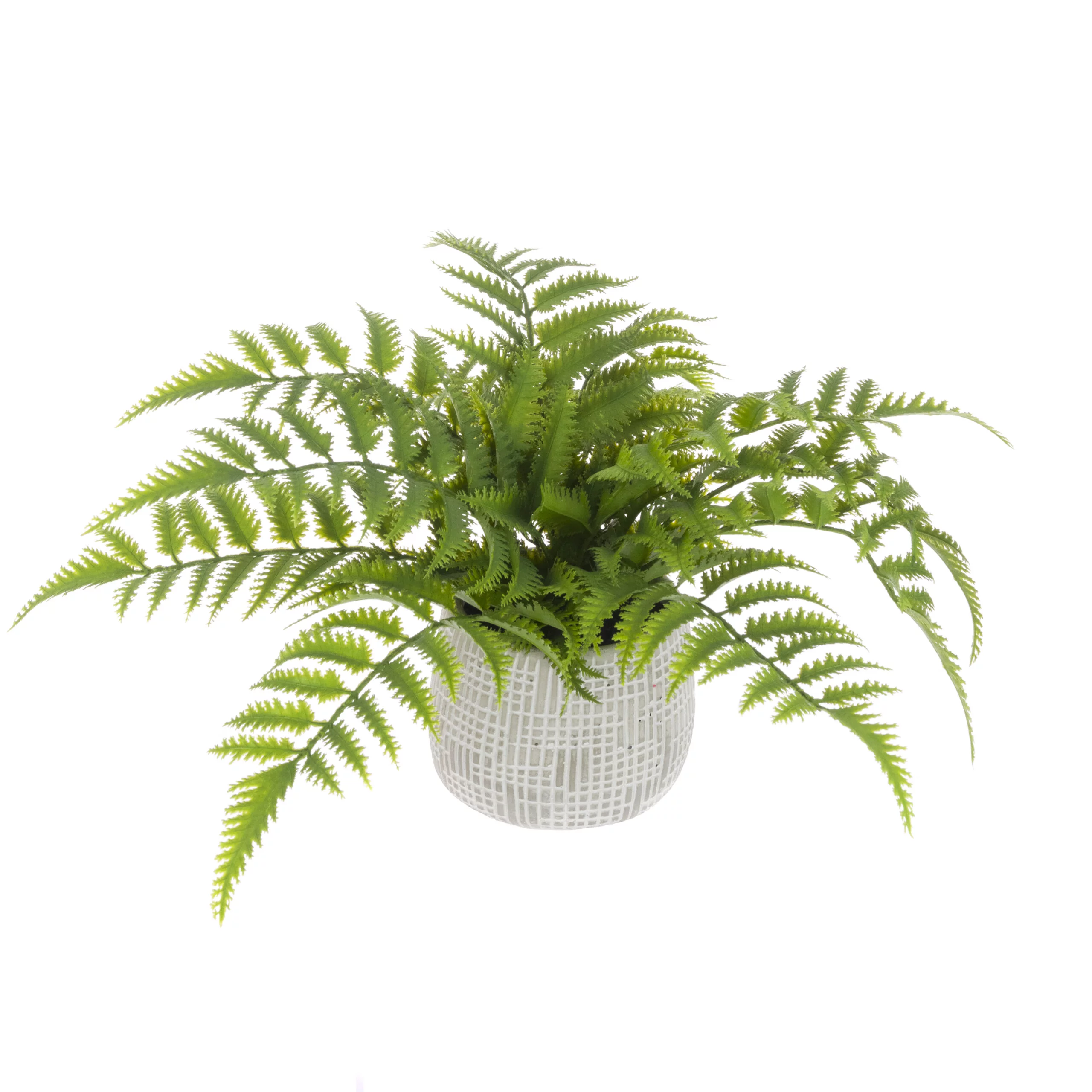 Fern In Ceramic Pot 33cm - Artificial Indoor Plants for Sale Ireland