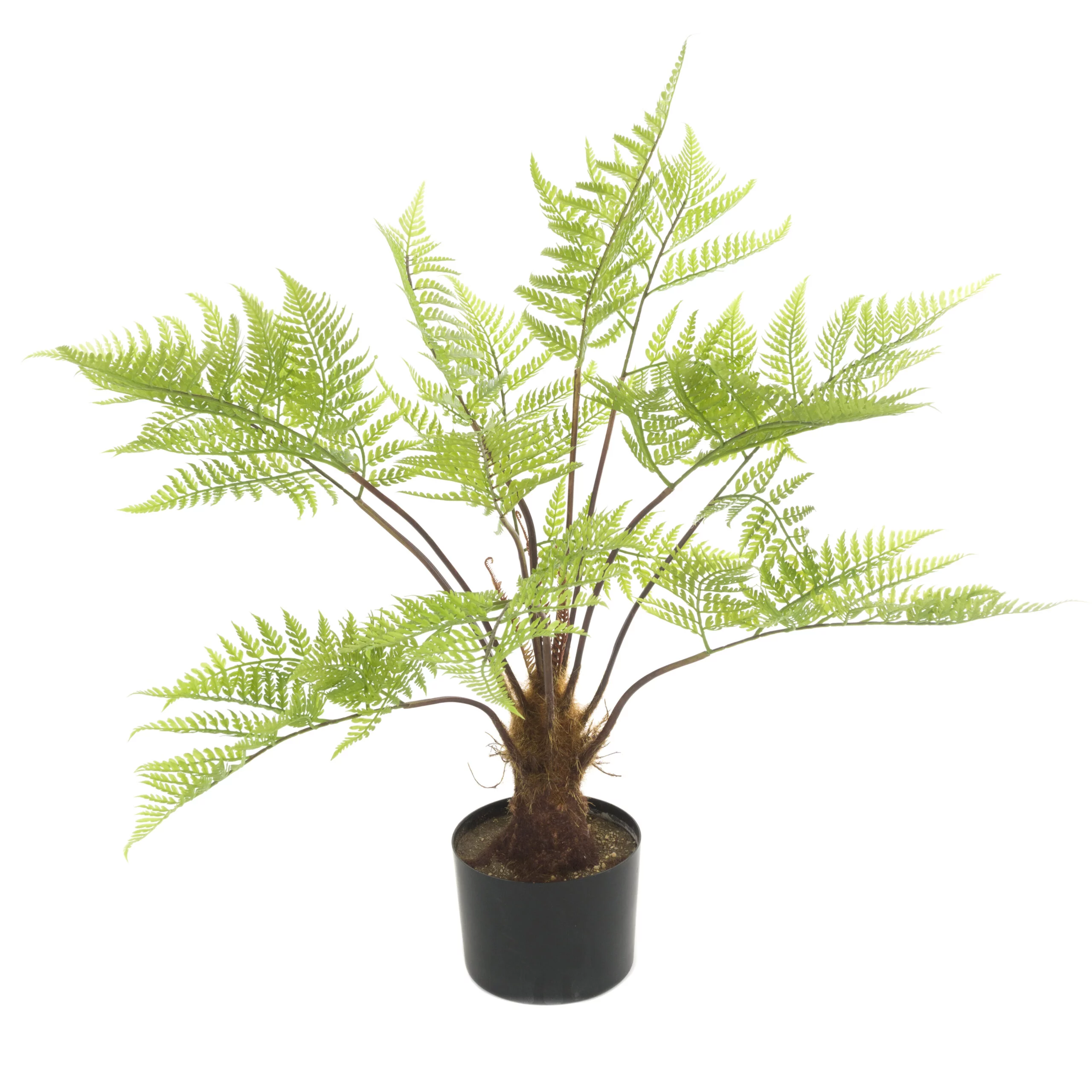 Tree Fern In Pot 80cm - Artificial Indoor Plants in Ireland