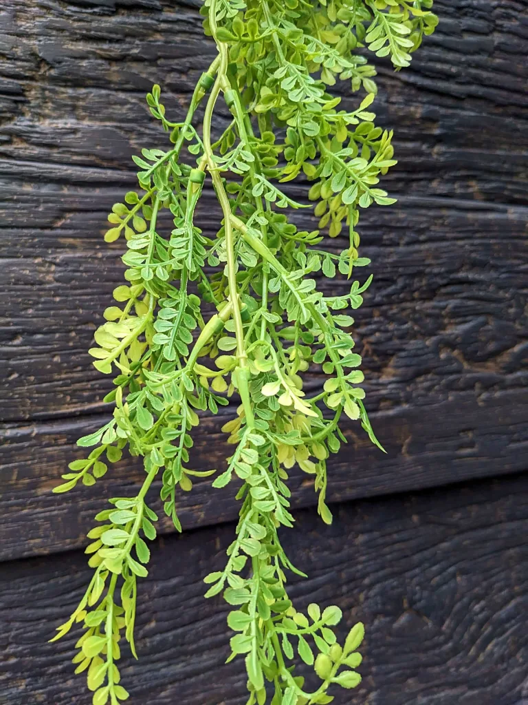 Young Moringa Leaf Hanging Foliage - Artificial Indoor Plants in Ireland