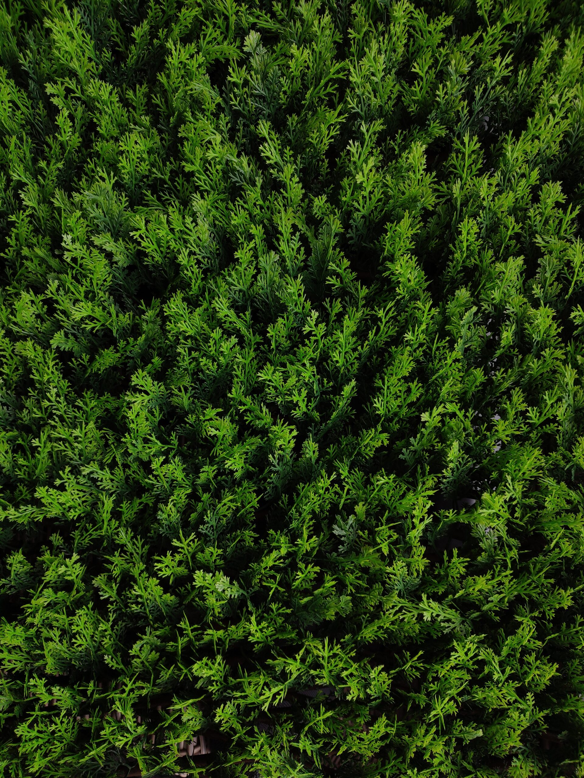 WonderWal Artificial Conifer Trellis