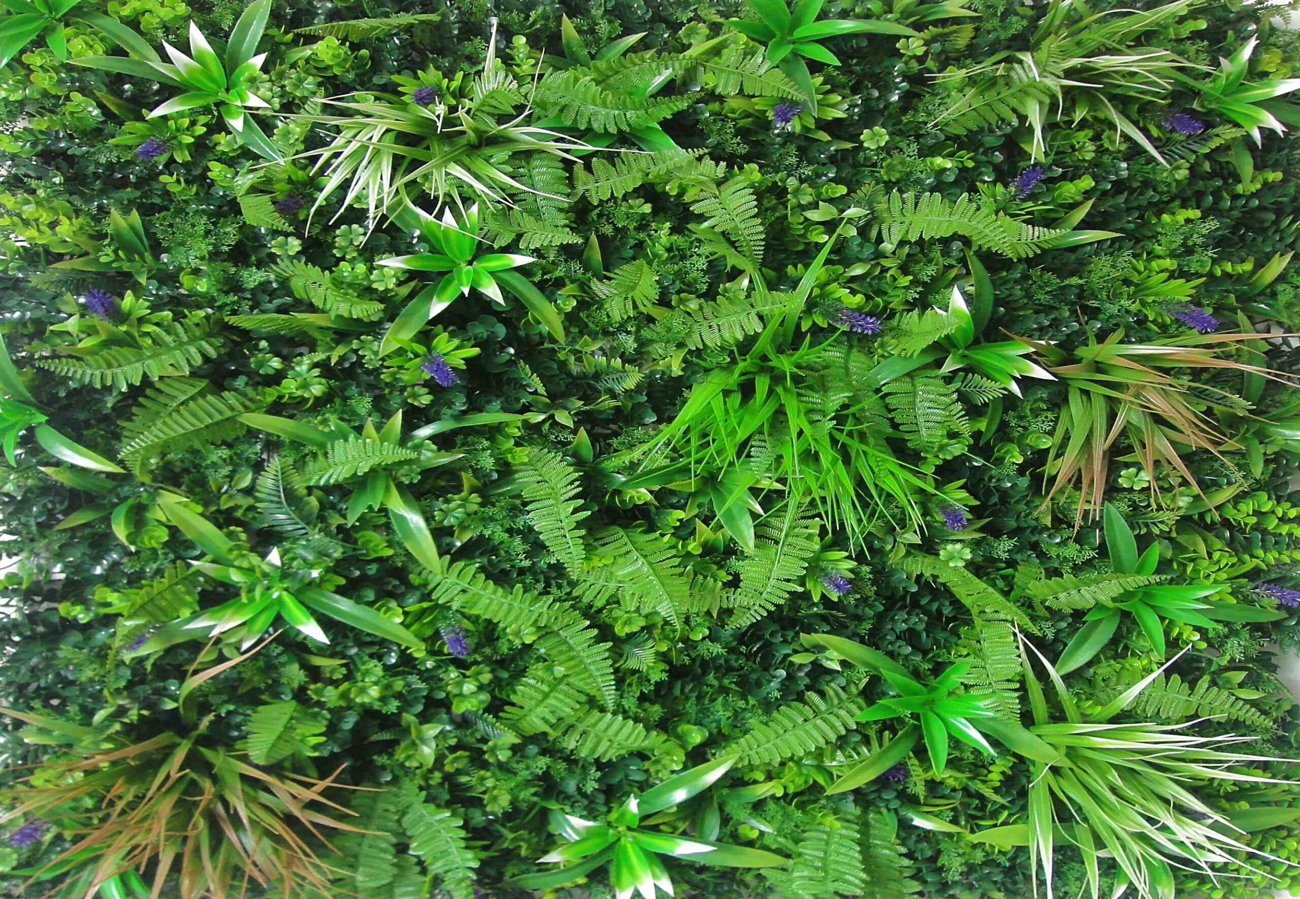 WonderWal Spider Fern with Lavender Wall Cover