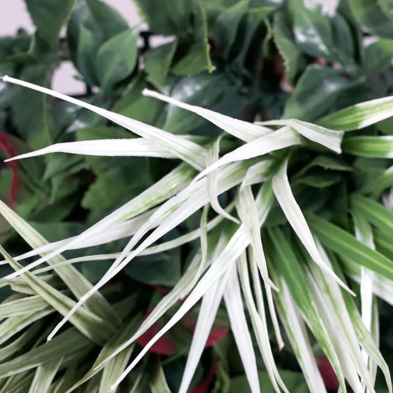 Multicoloured Green Leaves on the Greening Mat