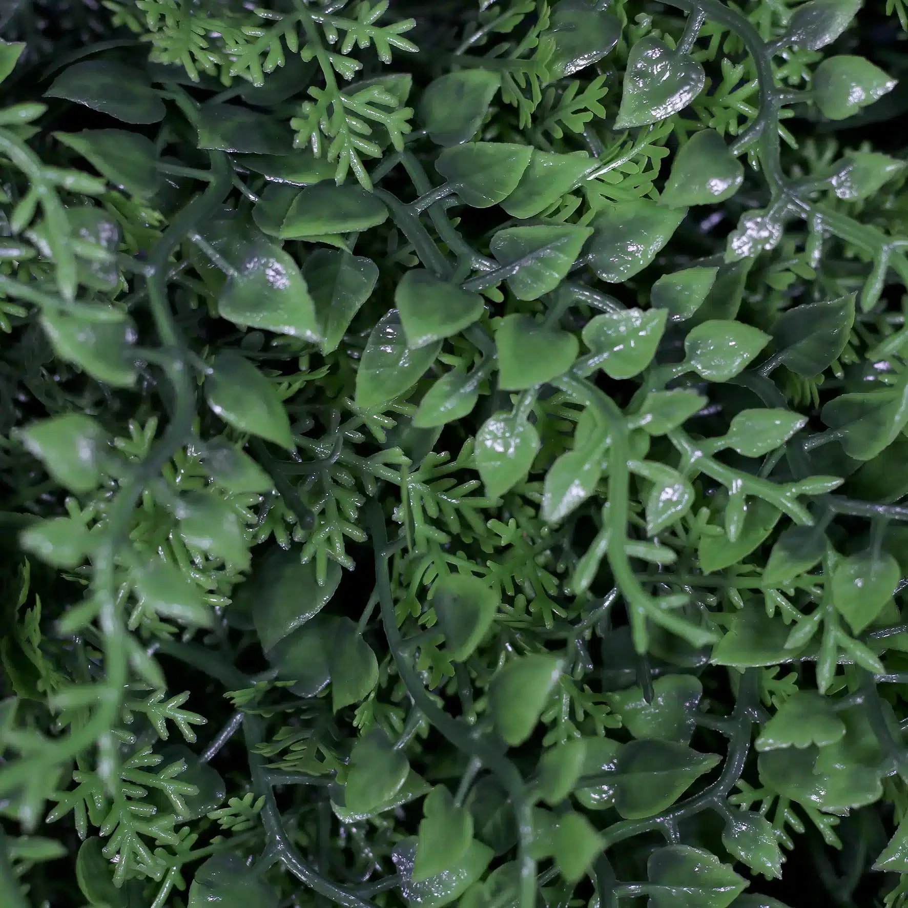 UV-Protected Fern Leaf Green Wall Panel – 50x50cm Artificial Vertical Garden
