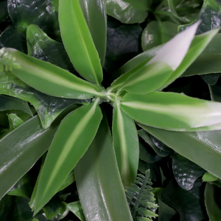 Close up shot of Green Wall Panel with Pink Blossoms