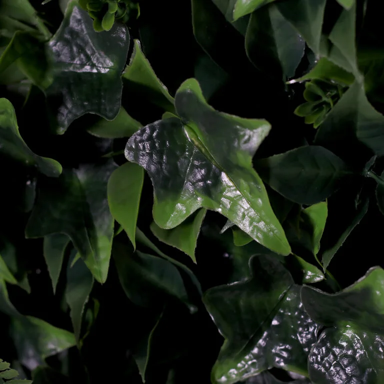 Close shot of foliage and leaves on the Green Hedge Wall