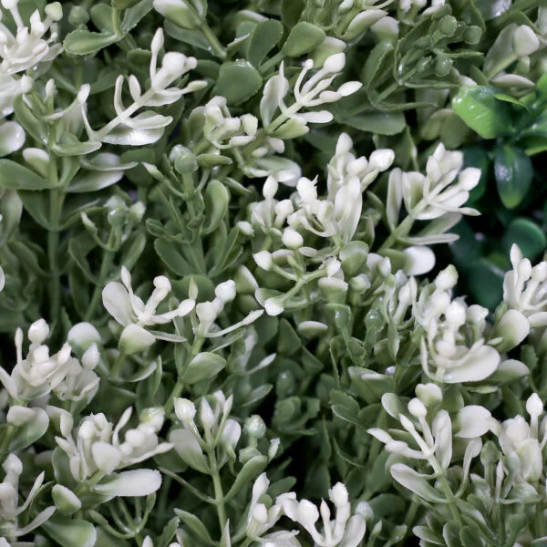 UV-Protected Multi Variegated Wall Greening Mat – 100x100cm Vertical Garden Panel