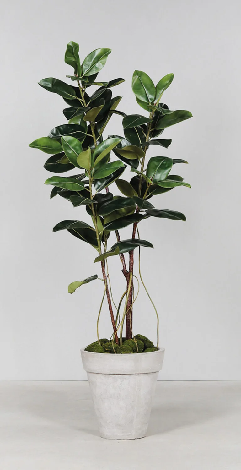 Artificial 6ft Rubber Tree