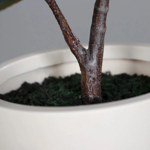 Artificial Rubber Tree in Beige Decorative Pot