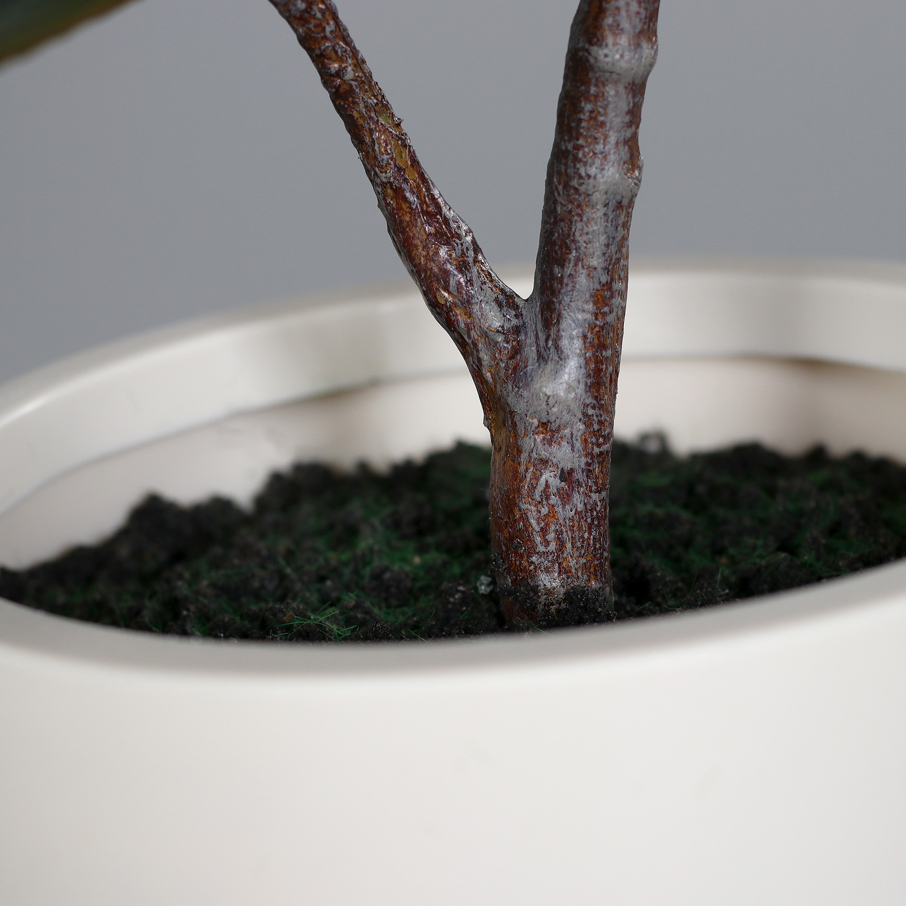 Artificial Rubber Tree in Beige Decorative Pot