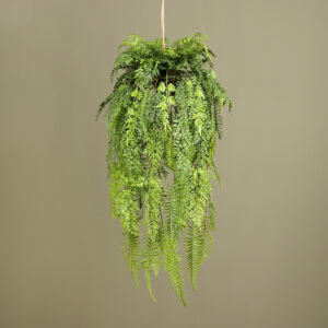 73cm Hanging Fern Arrangement - Lush Greenery for Indoor and Outdoor Decor