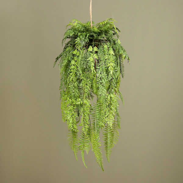 73cm Hanging Fern Arrangement