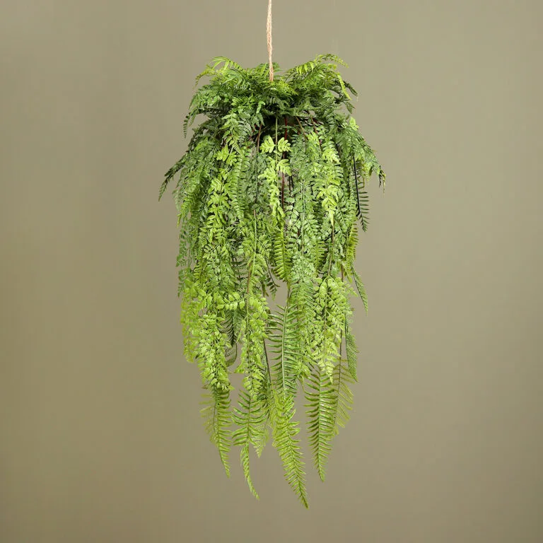 73cm Hanging Fern Arrangement - Lush Greenery for Indoor and Outdoor Decor