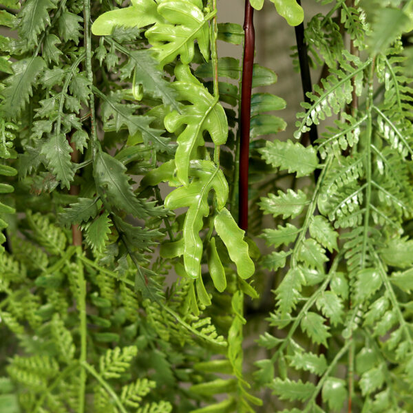 73cm Hanging Fern Arrangement