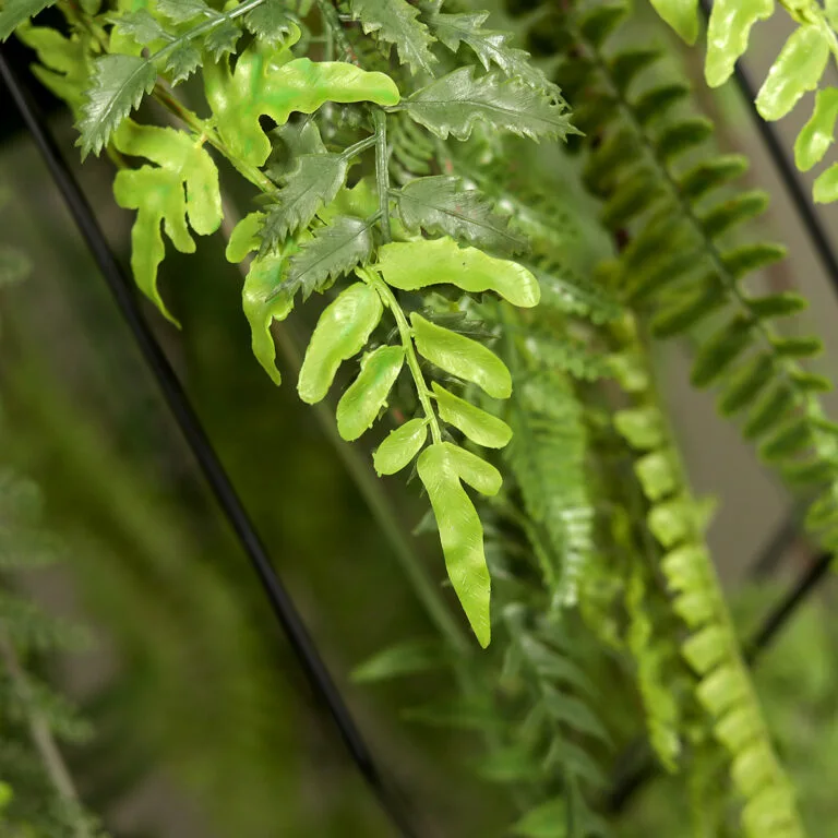 Close shot of the fern leaves in the hanging arrangement