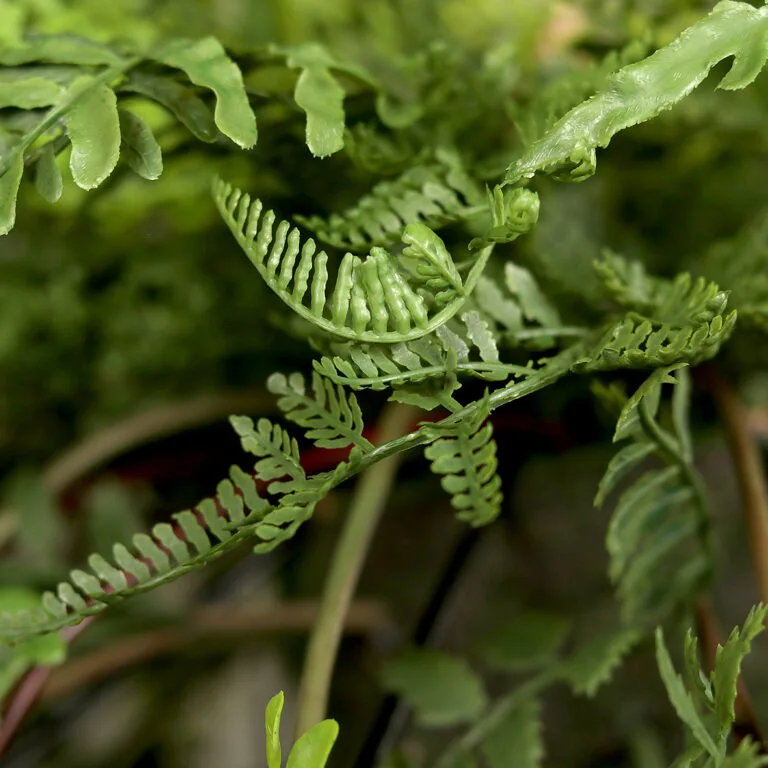Closeup of the hanging fern arrangement