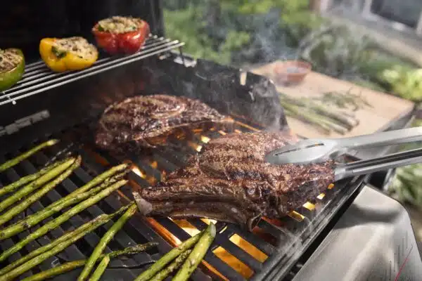 Weber Spirit E 425 Gas Barbecue 2025