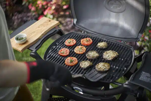 Weber Q2000 Gas Barbecue with Stand