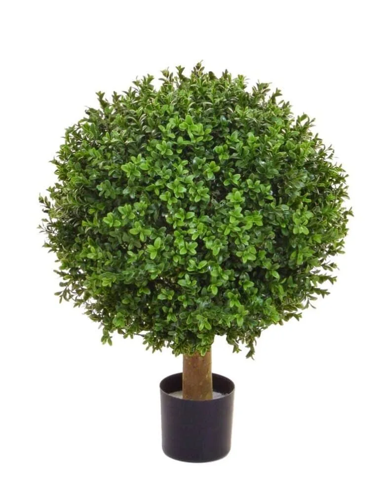 Outdoor 50cm Boxwood Ball In Pot - Premium Artificial Plants For Sale Dublin, best priced