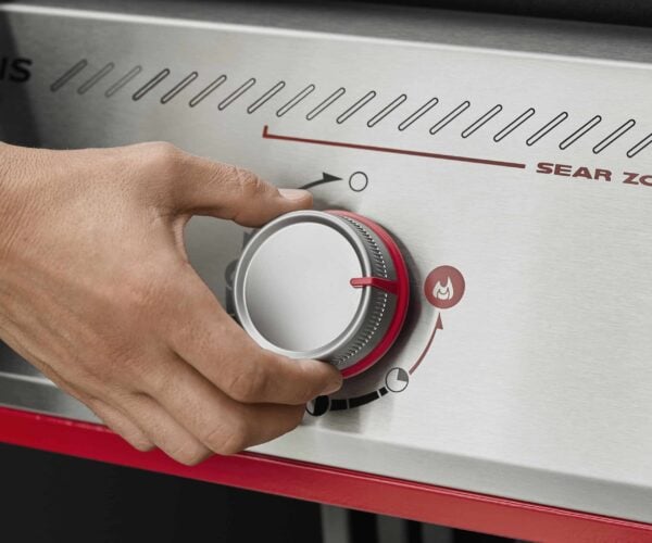 1501236 Gas grill weber genesis E 325 W burner