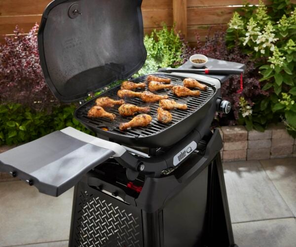 1501112 Weber Gas BBQ Q2200N grill space