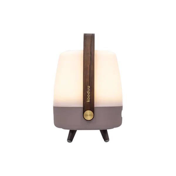 Lite-Up Play Mini 2.0