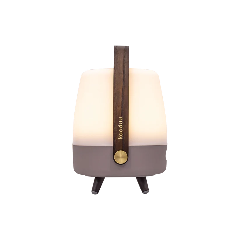 Lite-Up Play Mini 2.0