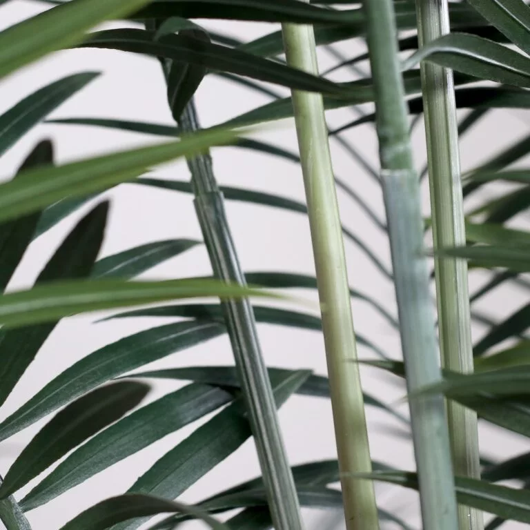 DPI Palm tree stem
