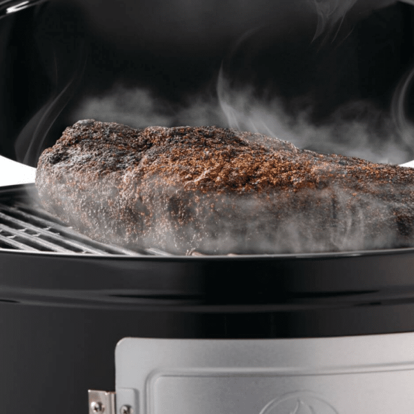 Napoleon Apollo 22 Smoker