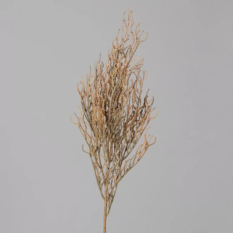 DPI Calocephalus Twig - 75 cm for sale in Ireland at The Outdoor Scene