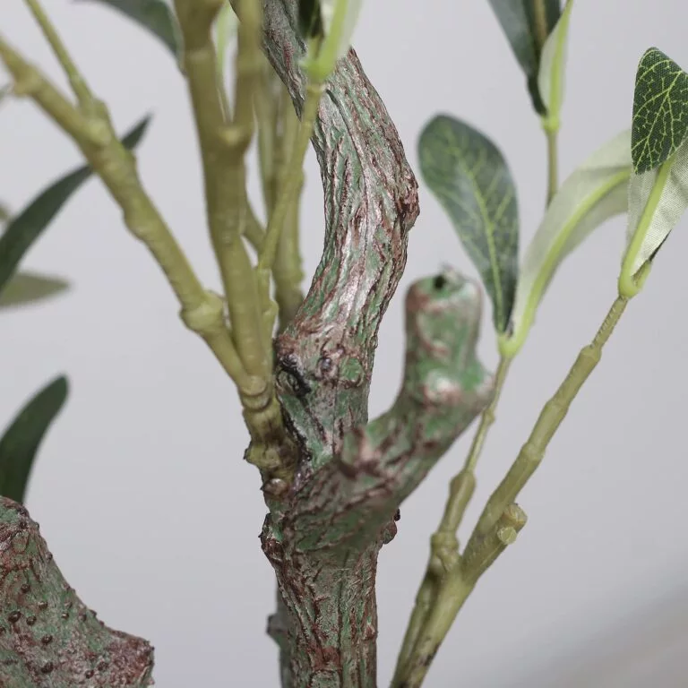 DPI Olive tree with fruit branches