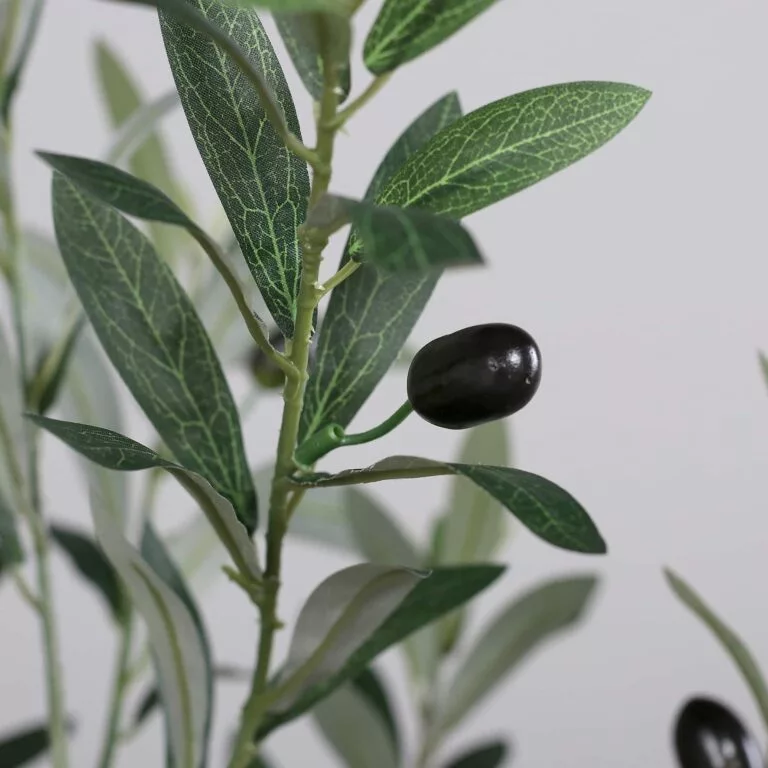 180cm Artificial Olive Tree fruits in details. For sale from The Outdoor Scene