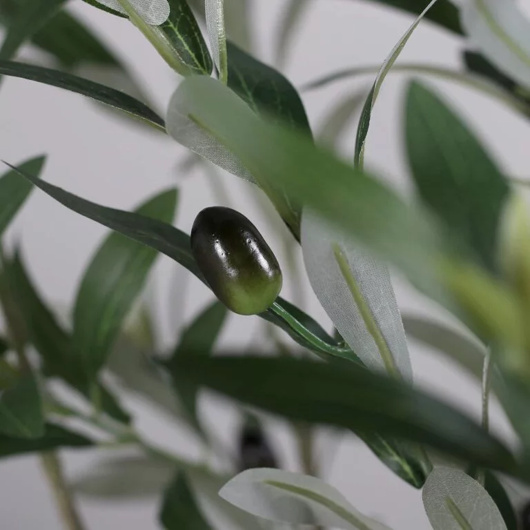 180cm Artificial Olive Tree with Olive Fruit available at The Outdoor Scene