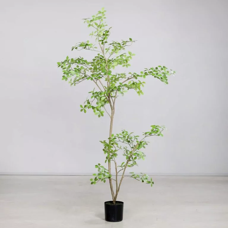 210cm Ficus Mircocarpa Artificial Tree for sale in Ireland at The Outdoor Scene