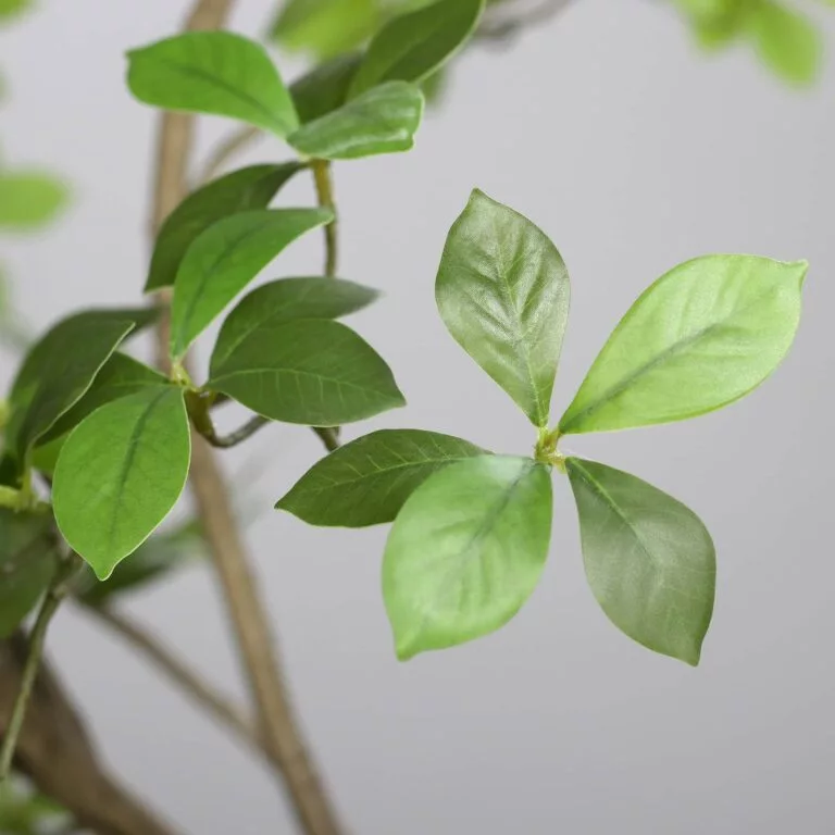 210cm Ficus Mircocarpa Artificial Tree leaves