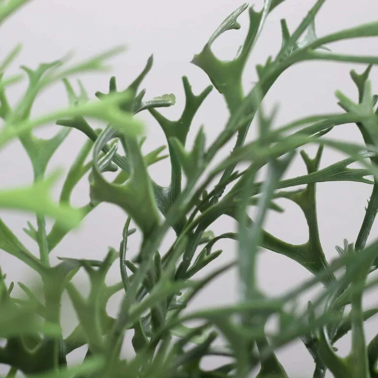 DPI Antler Fern available in IRL