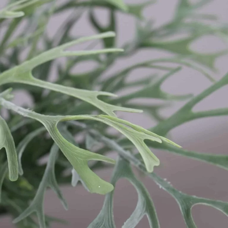 DPI Antler Fern Pick - 46cm for sale at The Outdoor Scene