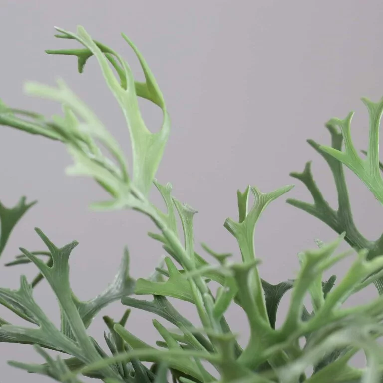 DPI Antler Fern Pick - 46cm available in IRL